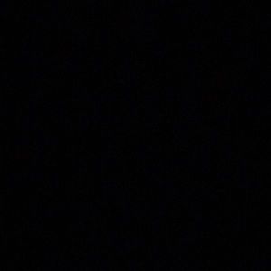 Meet your Posher, Bailey